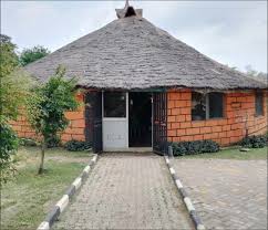 Iya Ekiti and Mama T Garden