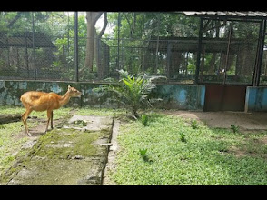Port Harcourt Zoo
