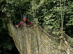 Afi Mountain Wildlife Sanctuary