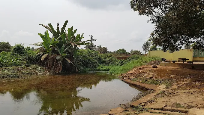 Yemoji Natural Pool